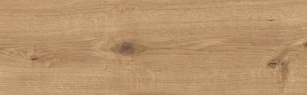 cersanit-gres-sandwood-brown-185x598-1299.jpg