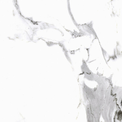 cerrad-calacatta-white-gres-597x597-3650.jpg