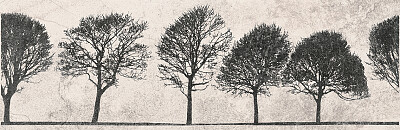 opoczno-dekor-willow-sky-inserto-tree-29x89-2683.jpg