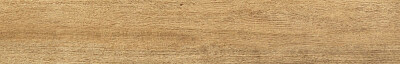 domino-gres-entina-wood-brown-1198x19-5712.jpg