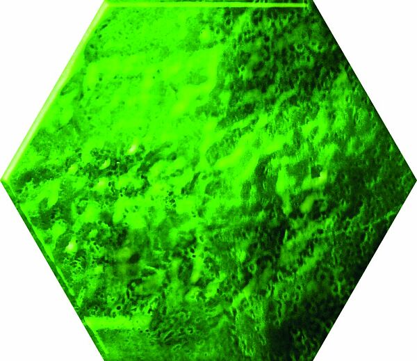 ceramica-color-dekor-green-glass-hexagon-125x145-16120.jpg
