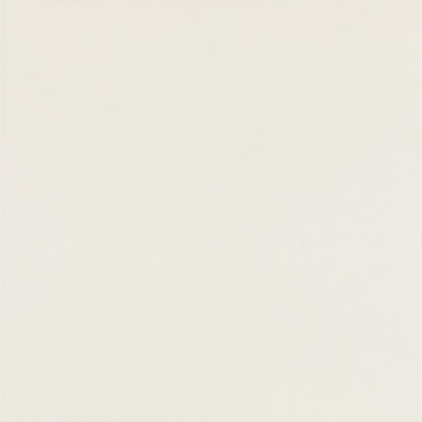 elegant-surface-bianco-plytka-gresowa-598x598-mat-rekt-19376.jpg