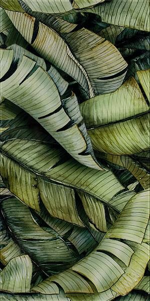 natura-dekor-scienny-leaf-b-300x600-polysk-19490.jpg