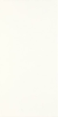 porcelano-bianco-plytka-scienna-300x600-mat-19374.jpg