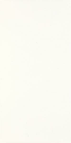 porcelano-bianco-plytka-scienna-300x600-mat-19374.jpg