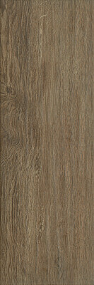 paradyz-wood-basic-brown-gres-20x60-mat-22310.jpg