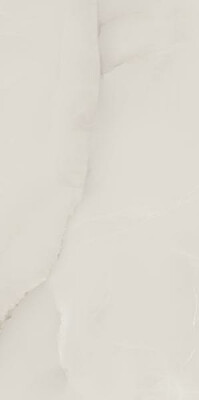 paradyz-elegantstone-bianco-gres-szkl-rekt-polpoler-598x1198-42045.jpg