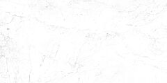 Bellezza Vinson f4.jpg