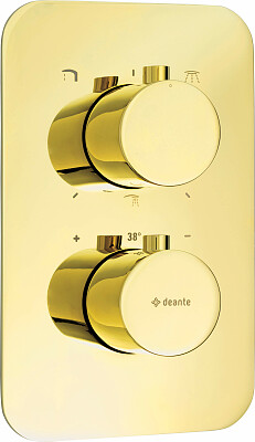 deante-box-element-zewnetrzny-do-boxa-termostatycznego-zloty-45054.jpg